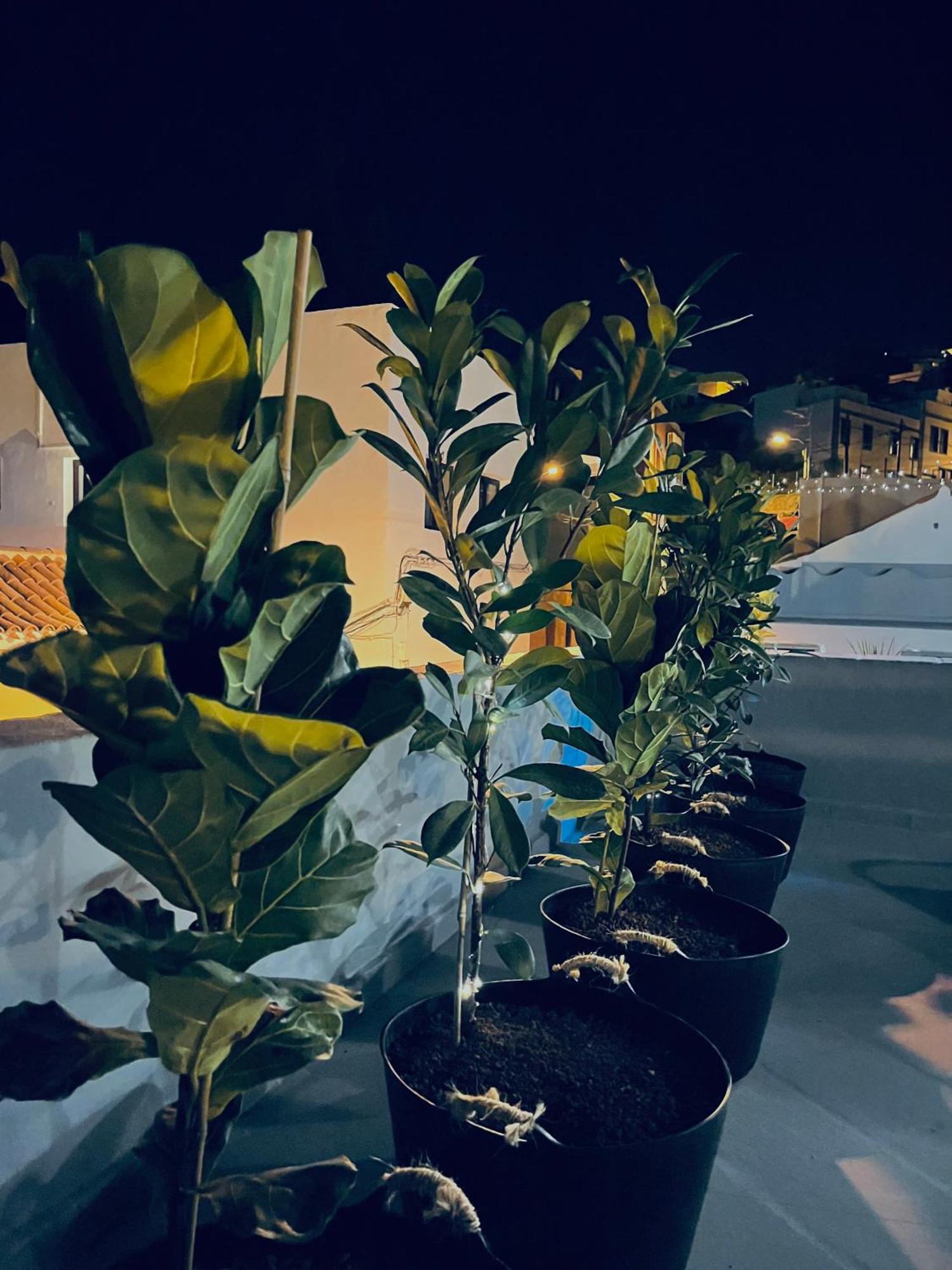 Plaza De La Fuente Granadilla De Abona Tenerife Sur Only Adults Con Terraza Privada Exteriör bild